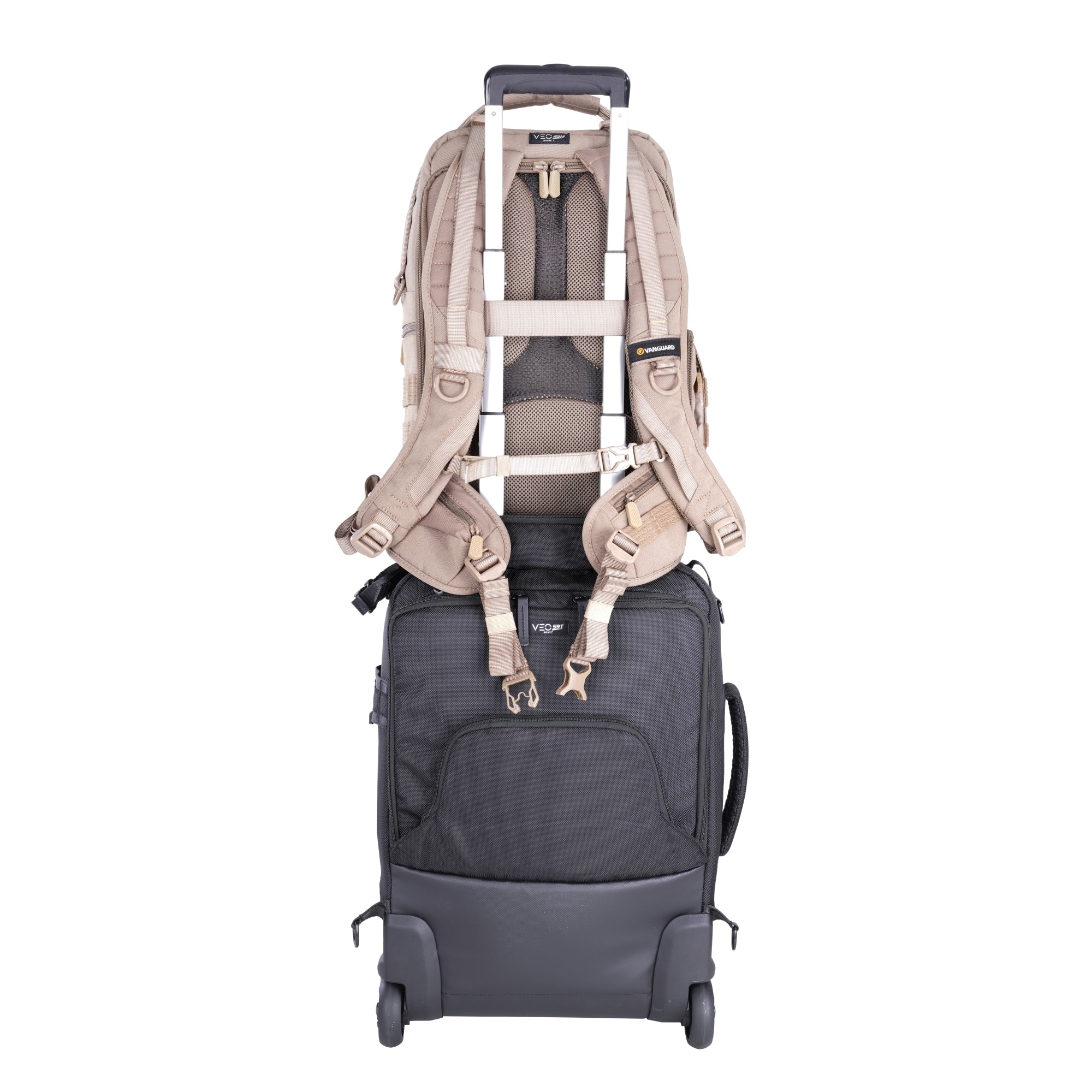 Thumbnail 17